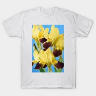 Bearded iris T-Shirt